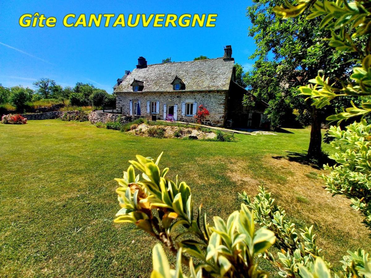 Gite Cantauvergne Villa Vebret Exterior foto