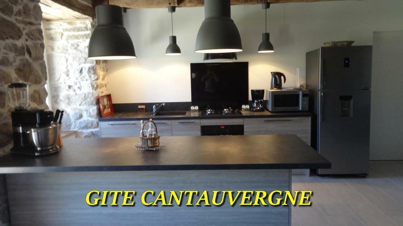 Gite Cantauvergne Villa Vebret Exterior foto