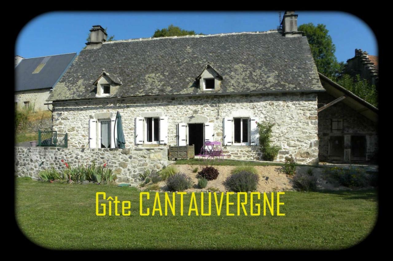 Gite Cantauvergne Villa Vebret Exterior foto