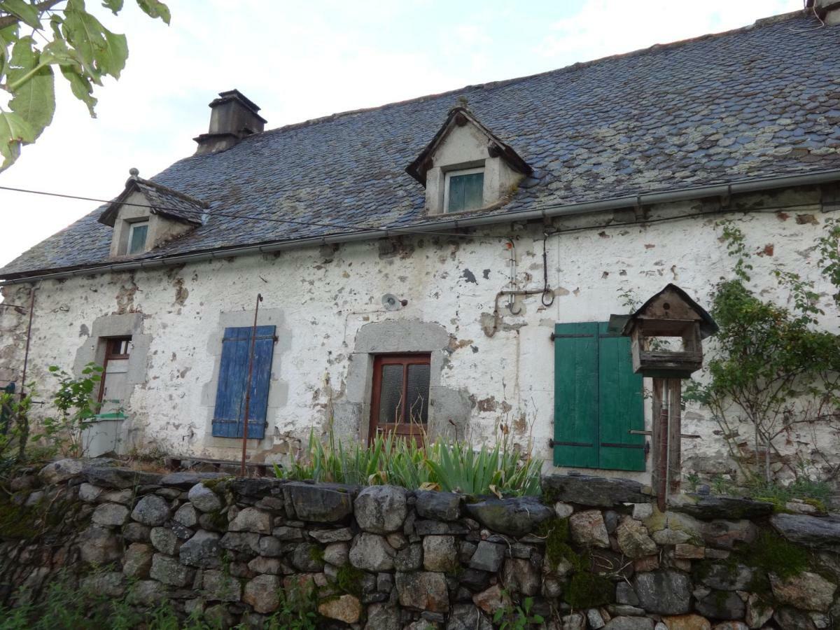 Gite Cantauvergne Villa Vebret Exterior foto