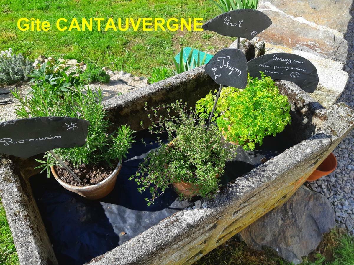 Gite Cantauvergne Villa Vebret Exterior foto